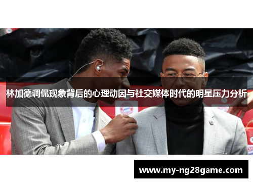 林加德调侃现象背后的心理动因与社交媒体时代的明星压力分析