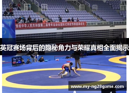 英冠赛场背后的隐秘角力与荣耀真相全面揭示